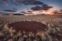 Fairy circles in Namib Naukluft Park, Namibia. Photo by Mark Dumbleton via Shutterstock.com