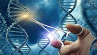CRISPR